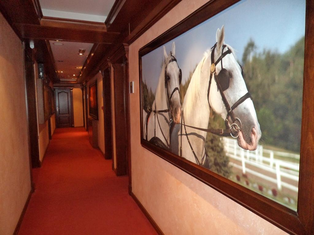 Panorama City Inn Sremski Karlovci Buitenkant foto